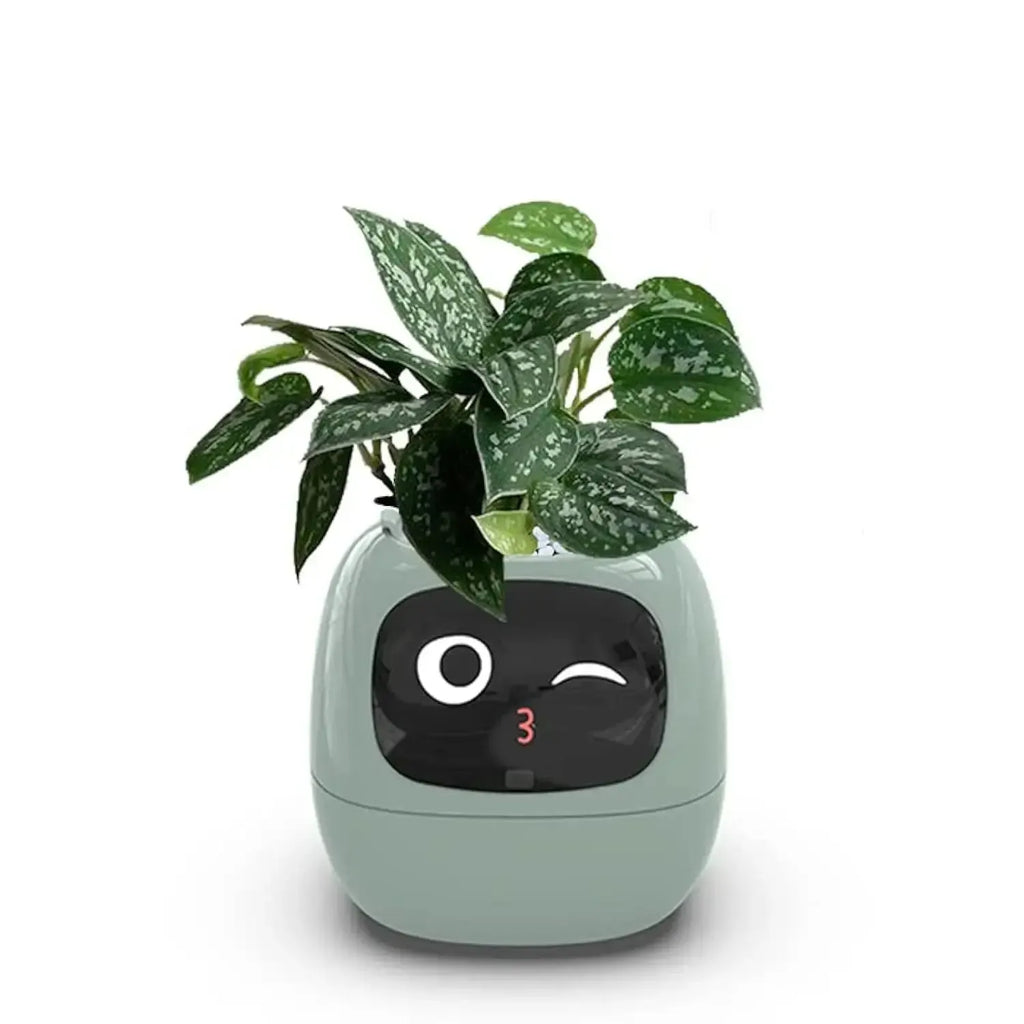Ivy the Japanese Smart Planter