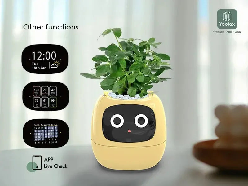 Ivy the Japanese Smart Planter