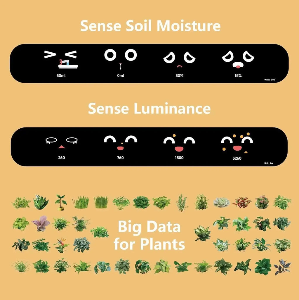 Ivy the Japanese Smart Planter