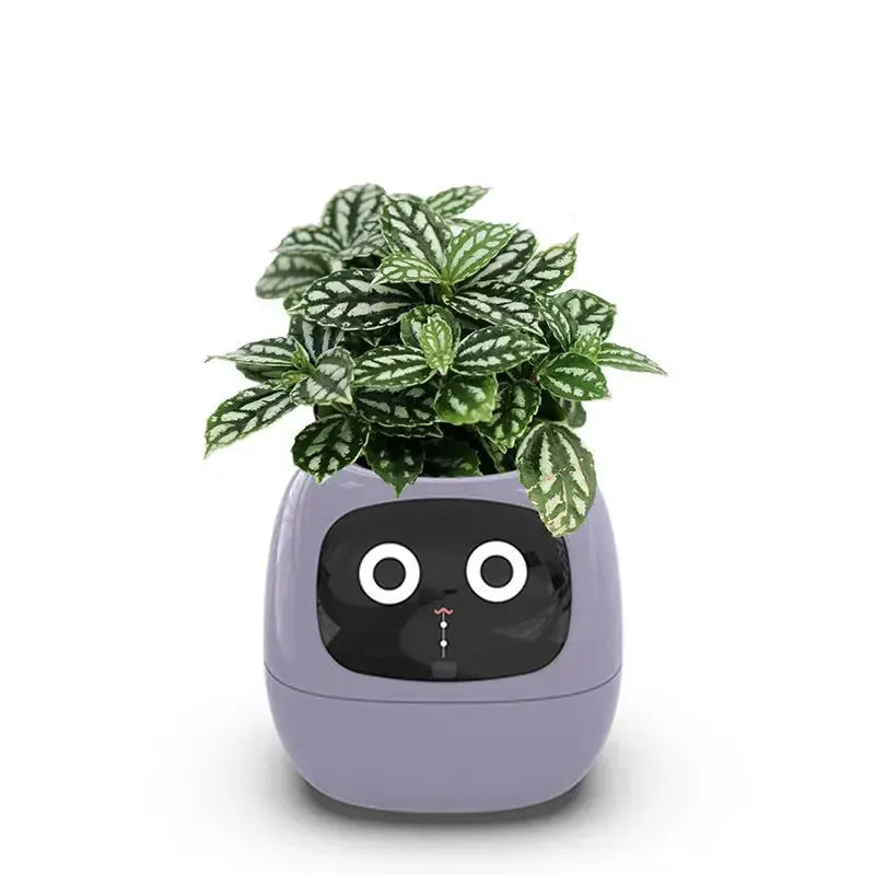 Ivy the Japanese Smart Planter