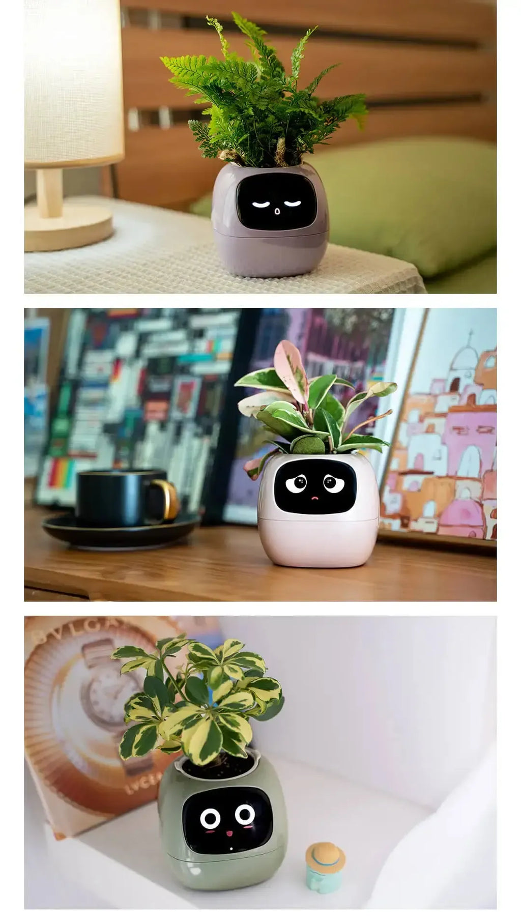 Ivy the Japanese Smart Planter