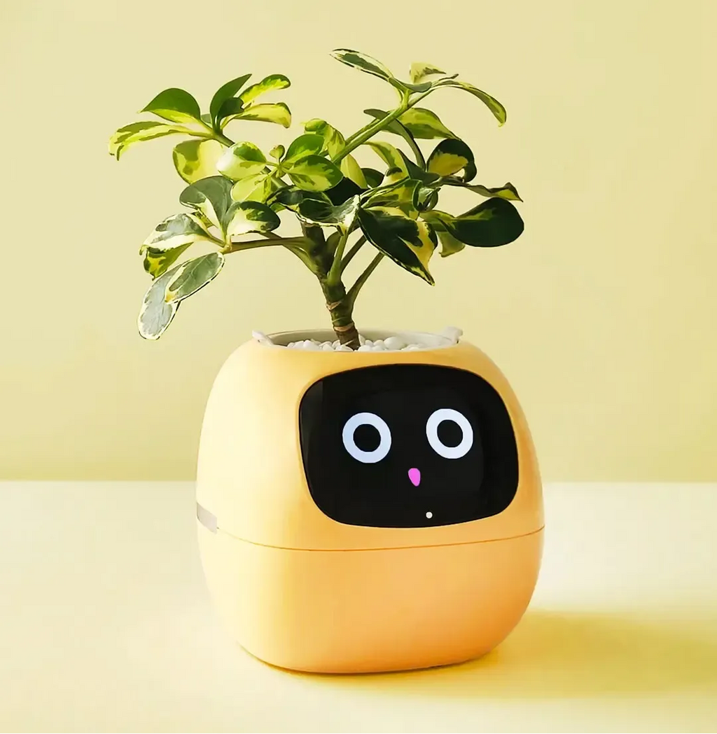 Ivy the Japanese Smart Planter